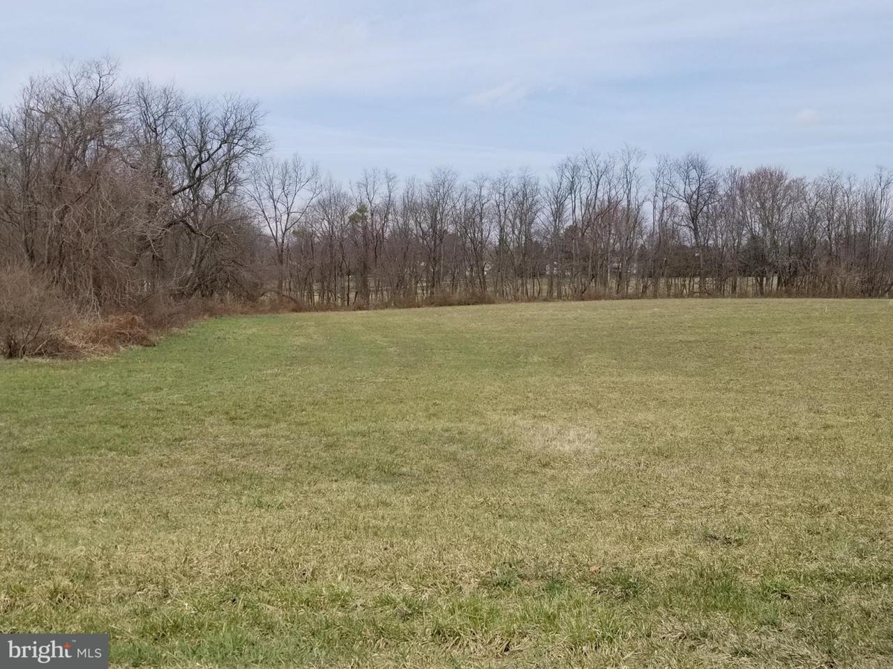 Lot 4 Sterling Road - Photo 1