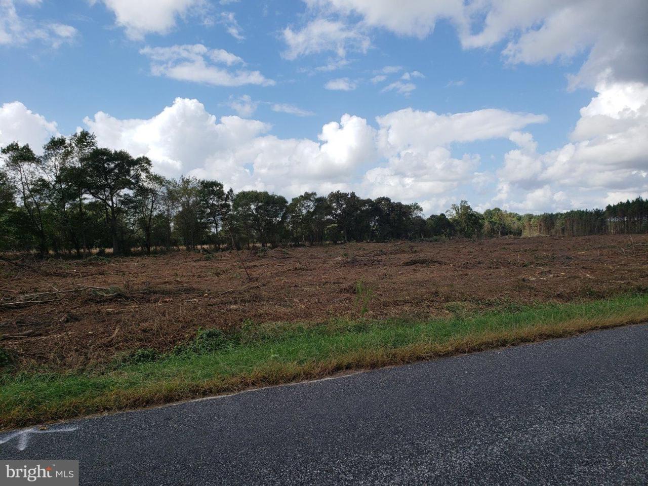 Lot 2 Tingle Street - Photo 1