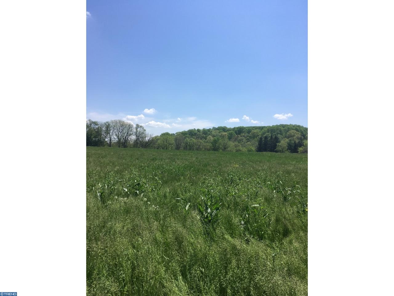 530 Baltimore Pike - Photo 1