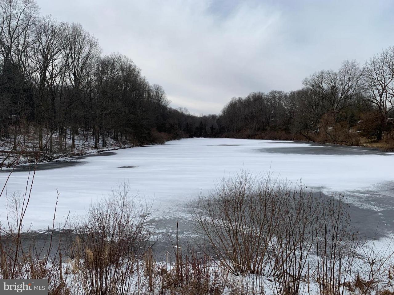 0 Hartz Store Road - Photo 1