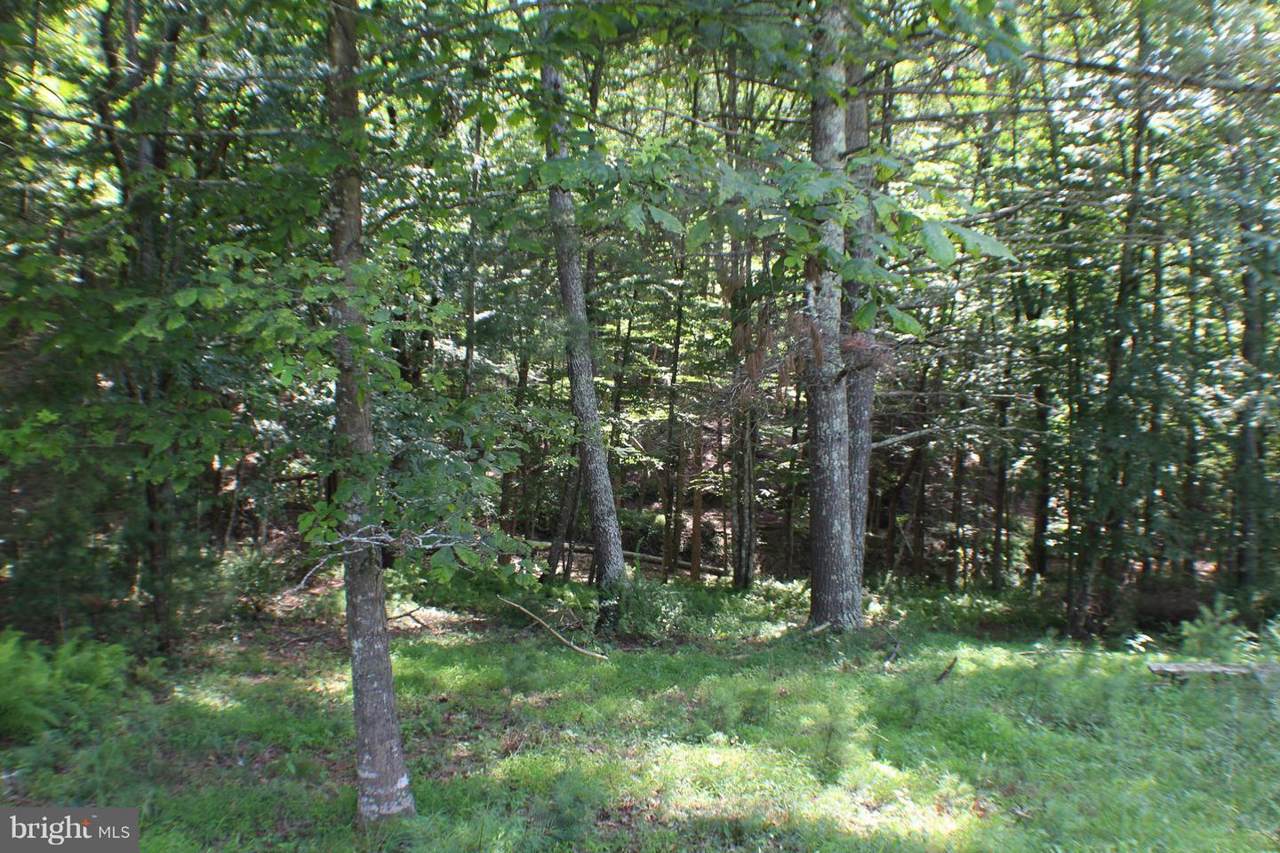 Lot 4A-3A Sweeny Place - Photo 1 Lot 4A-3A Sweeny Place - Photo 1