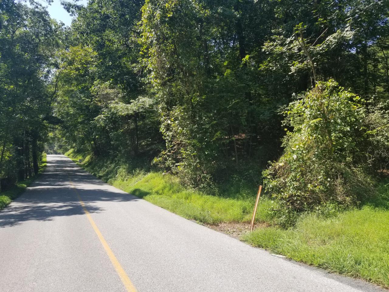 Lot # 1 Fox Hollow Road - Photo 1