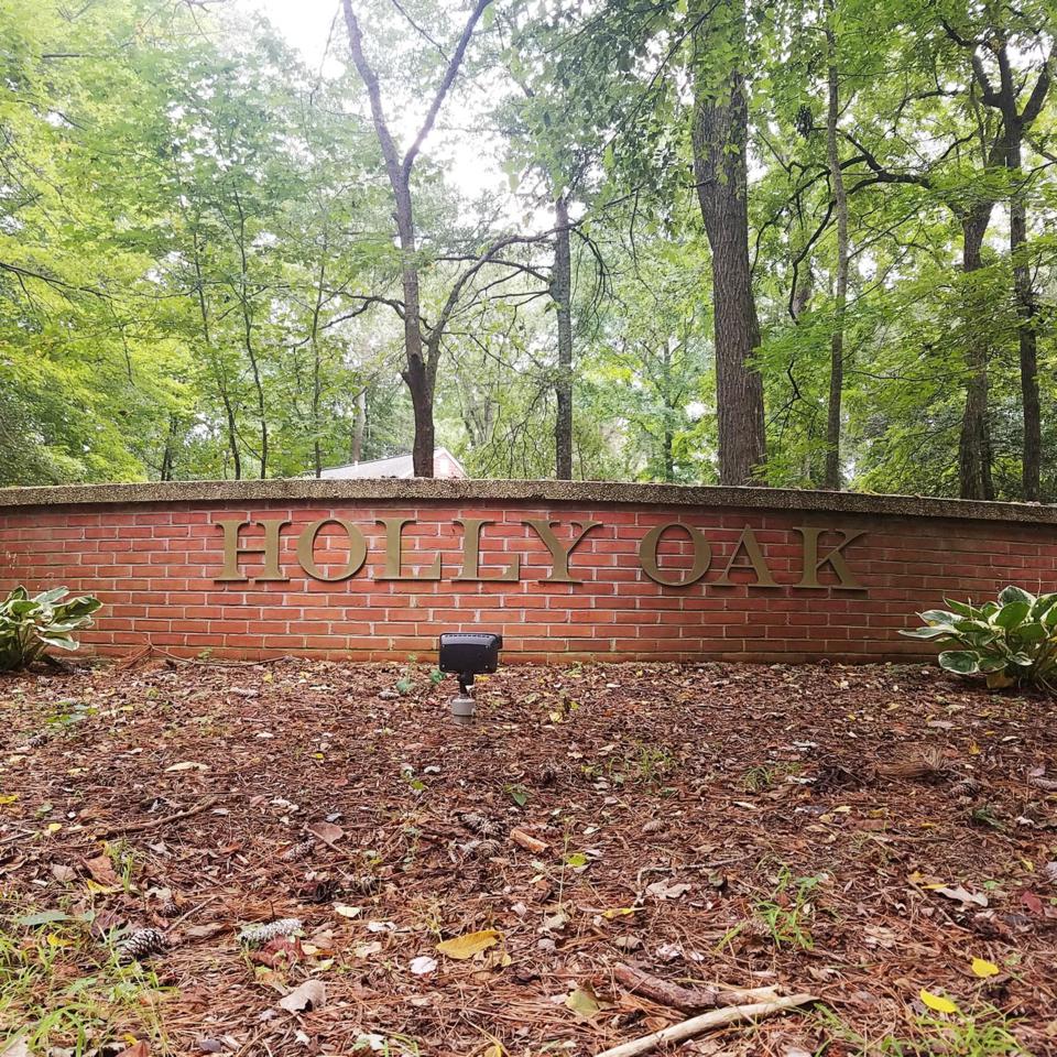 Lot 48 Holly Oak Lane - Photo 1