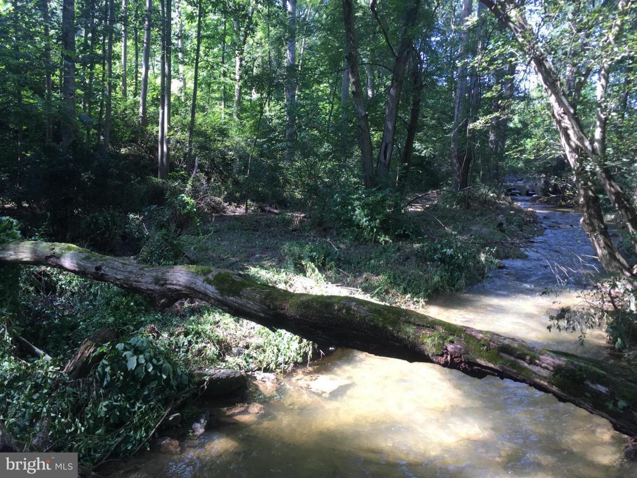 5050 Shaffer Mill Road - Photo 1
