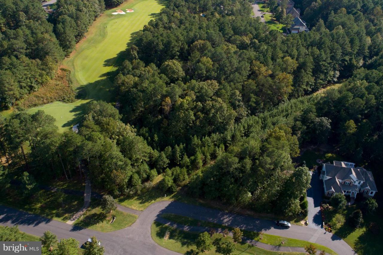 11812 Fawn Lake Parkway - Photo 1