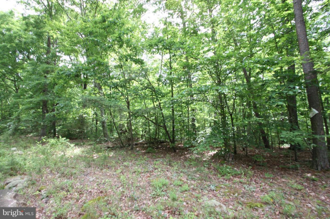 Old Mill Road - Photo 1