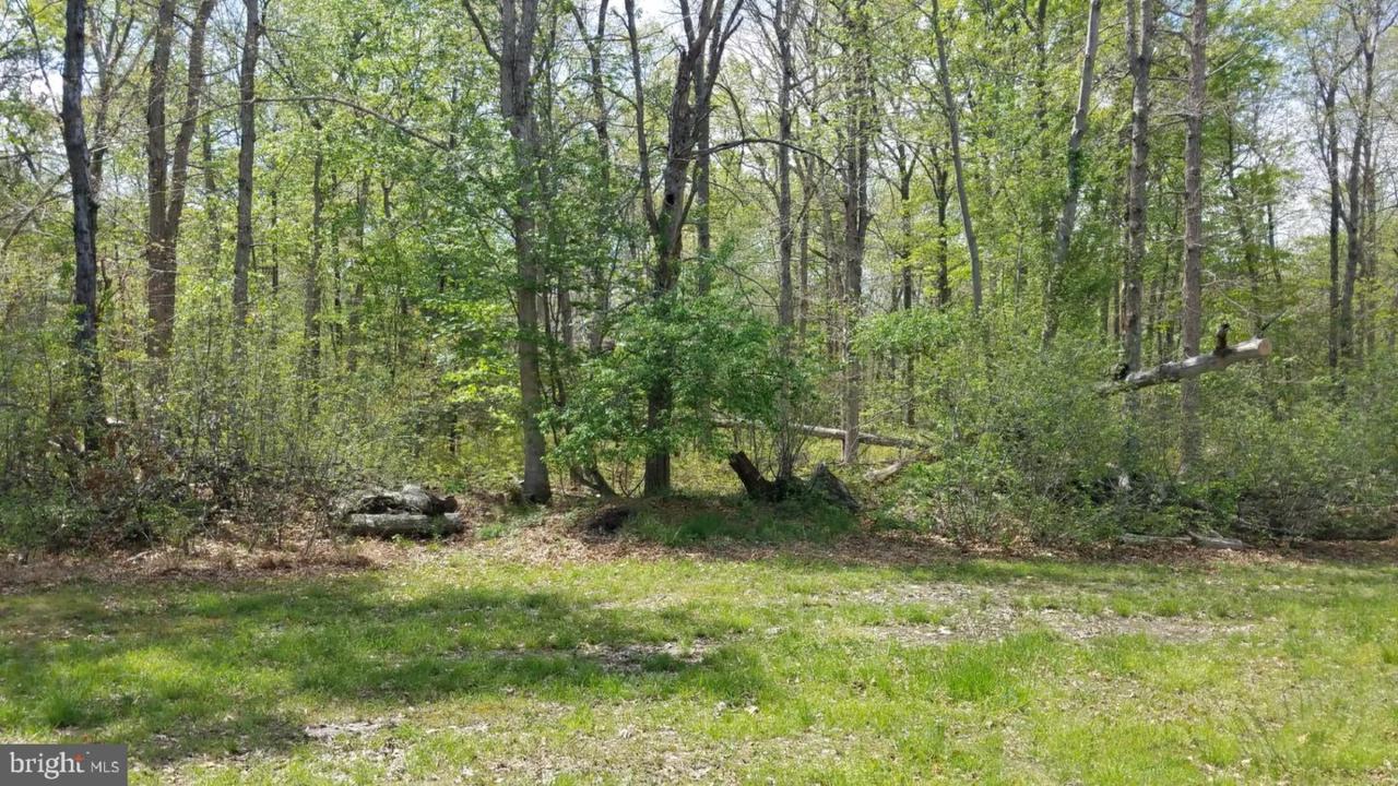 505 Hay Road - Photo 1