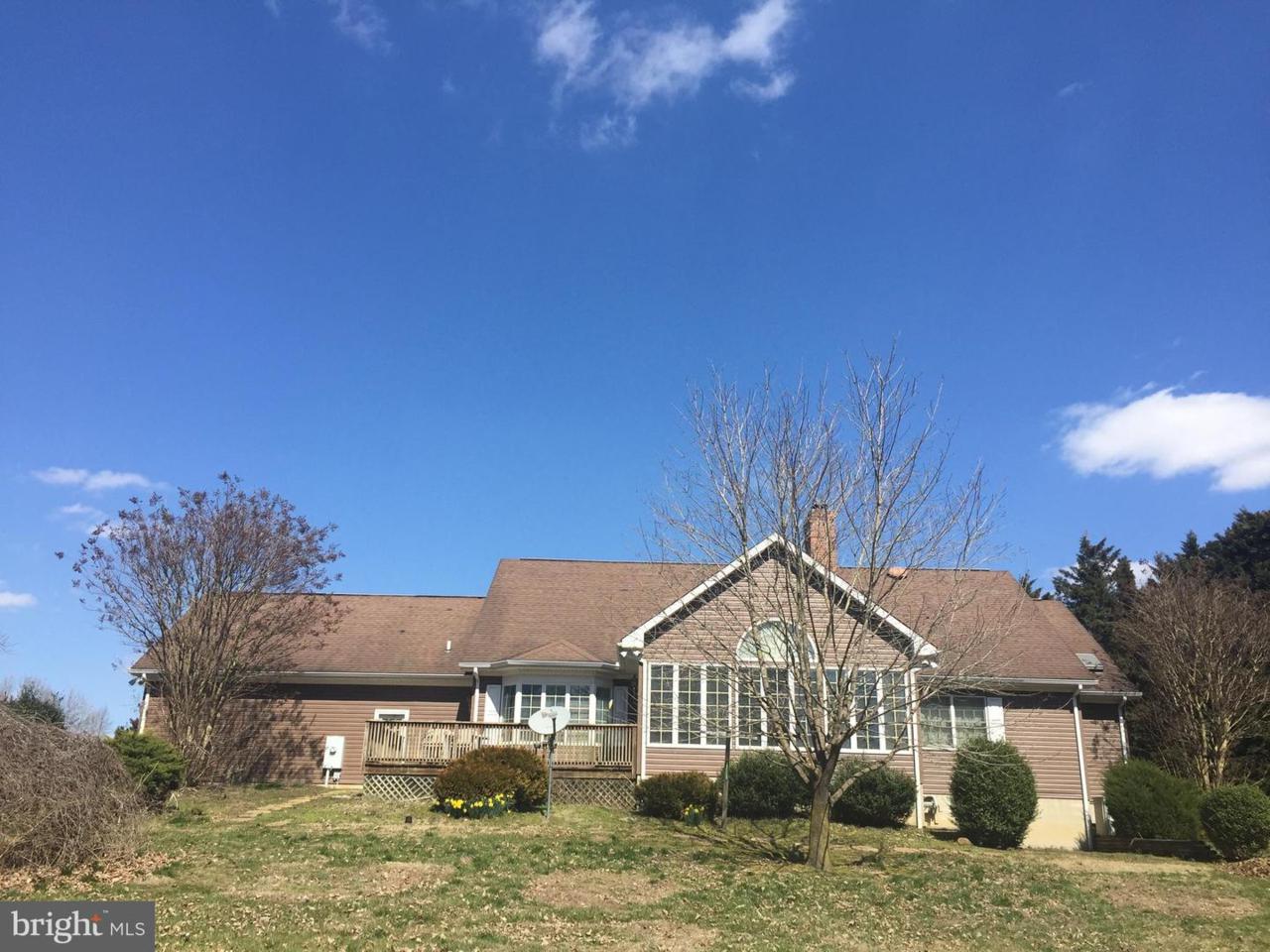 29615 Galloway Run - Photo 1