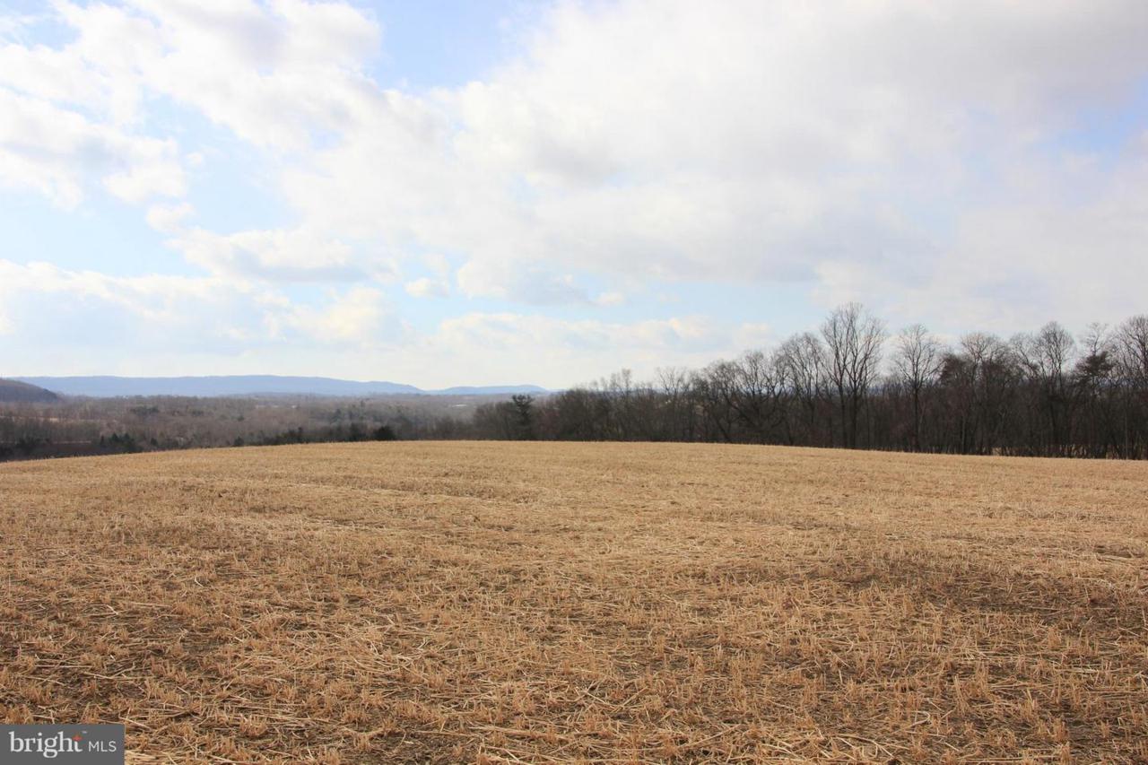 394 Bunker Hill Road - Photo 1
