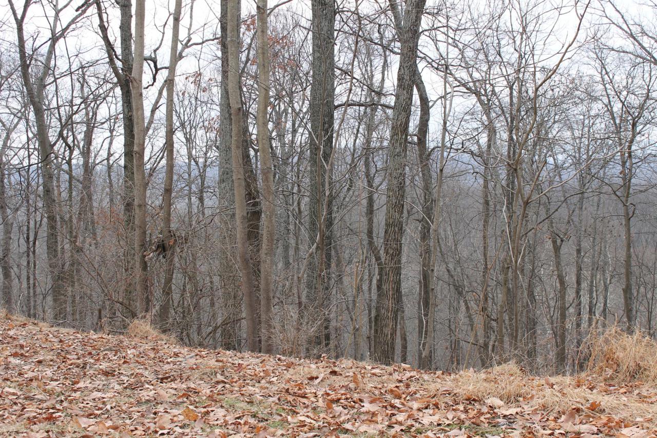 25 James Trail - Photo 1 25 James Trail - Photo 1