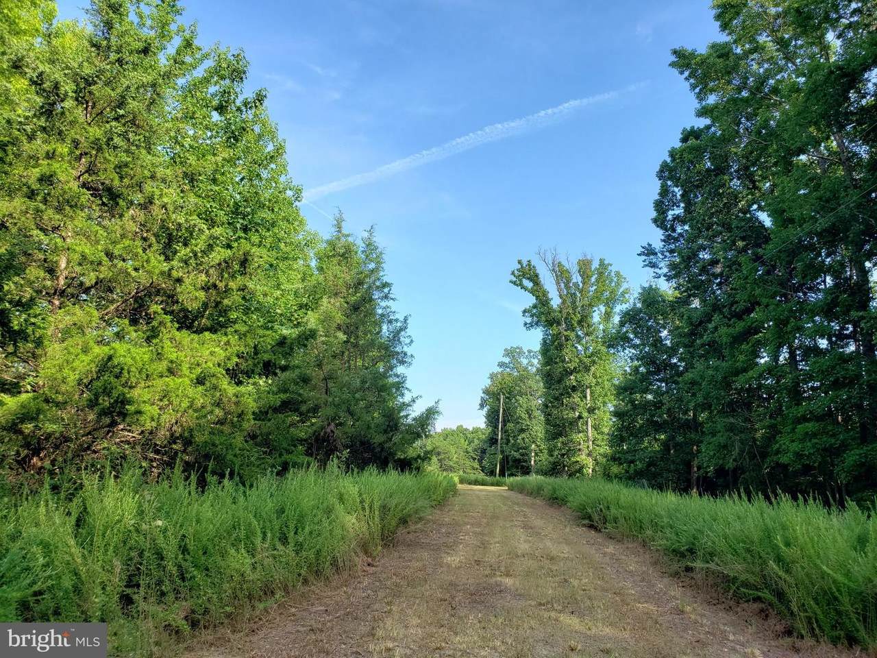 4900 Guinea Station Road - Photo 1