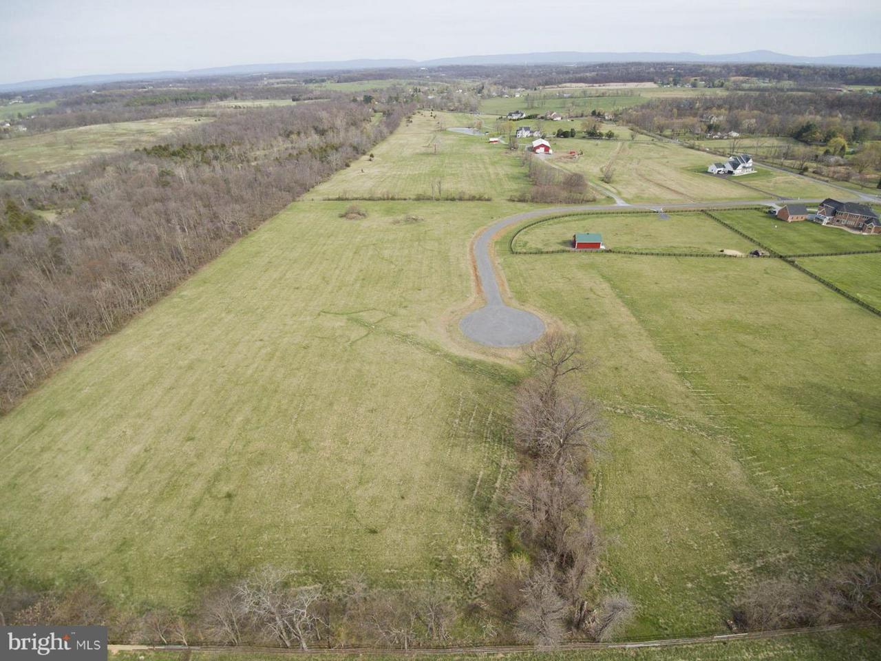 Lot 3 Miller Road - Photo 1