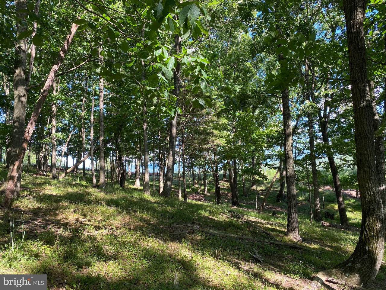 15 Rita Lane - Photo 1