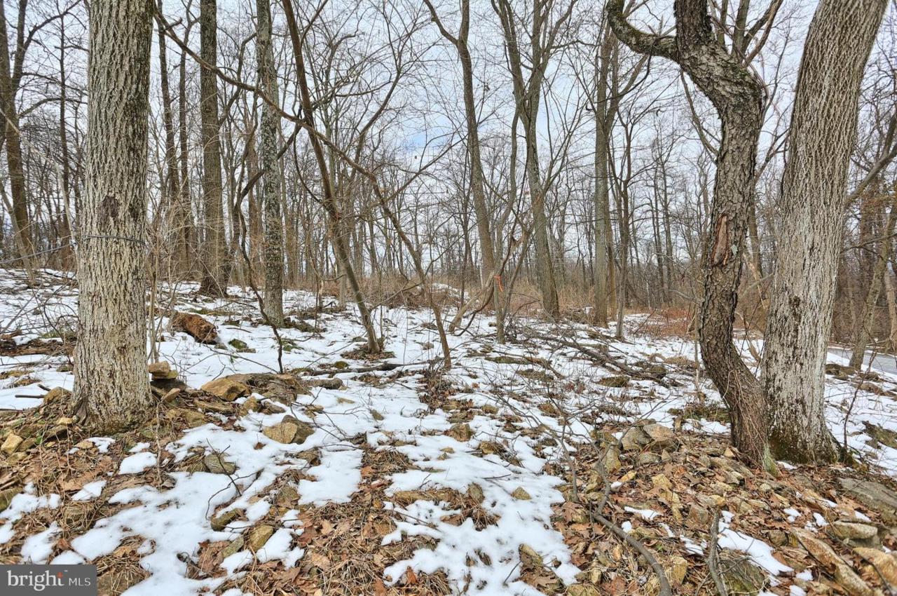 Lot 2 Ridge - Photo 1