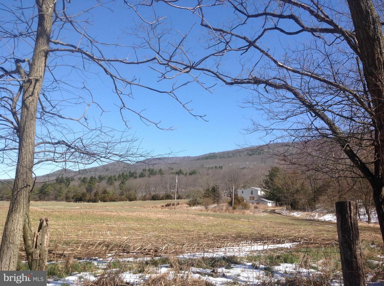 12125 State Road 259 - Photo 1