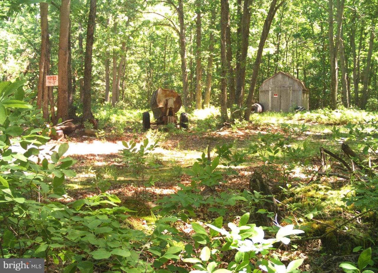 0 Buck Road - Photo 1