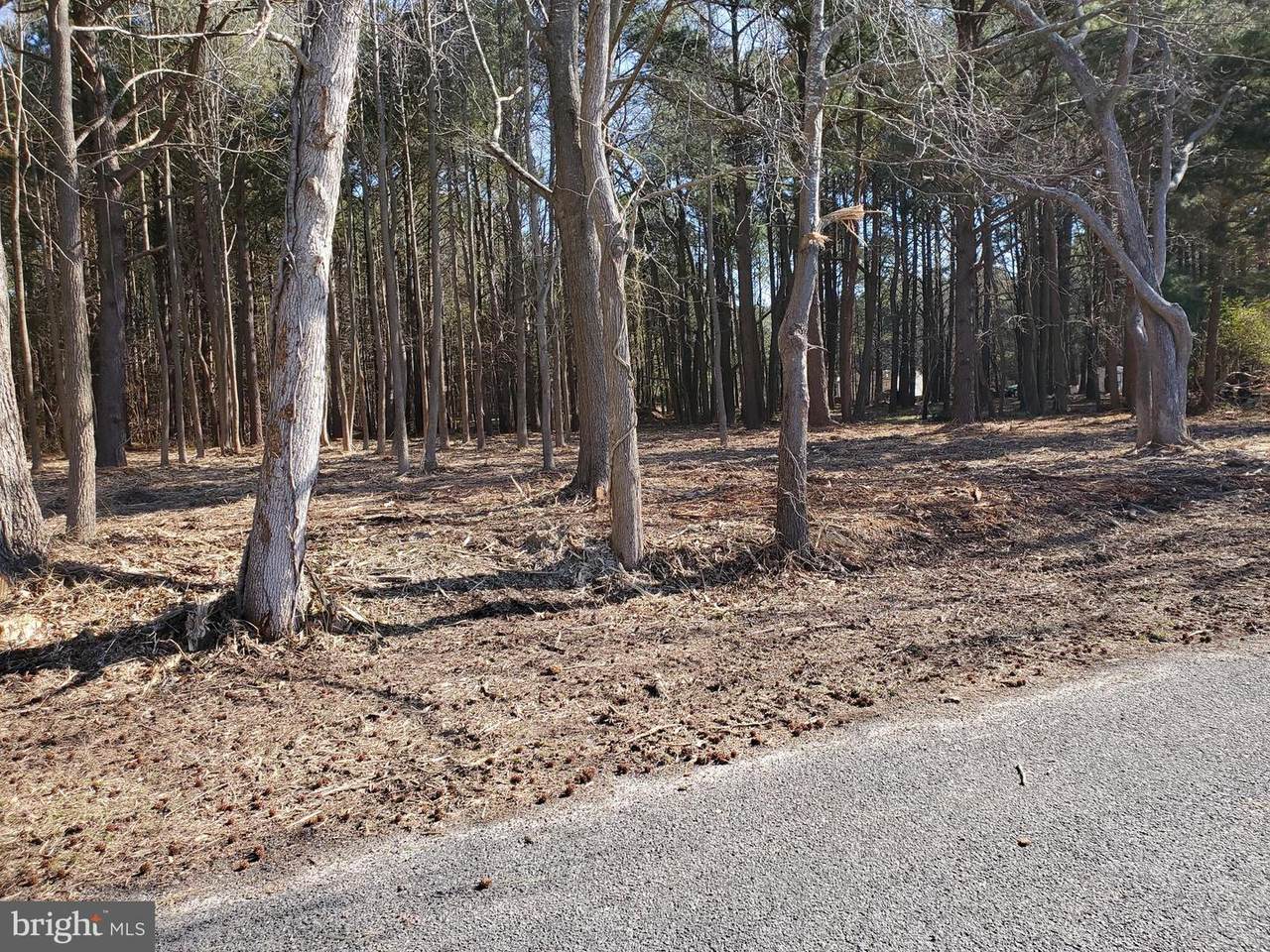 0 Cedar Landing Drive - Photo 1