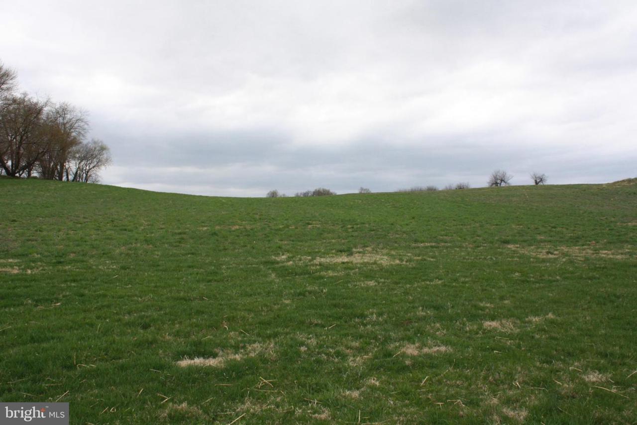 Lot 1 Pond View Drive - Photo 1