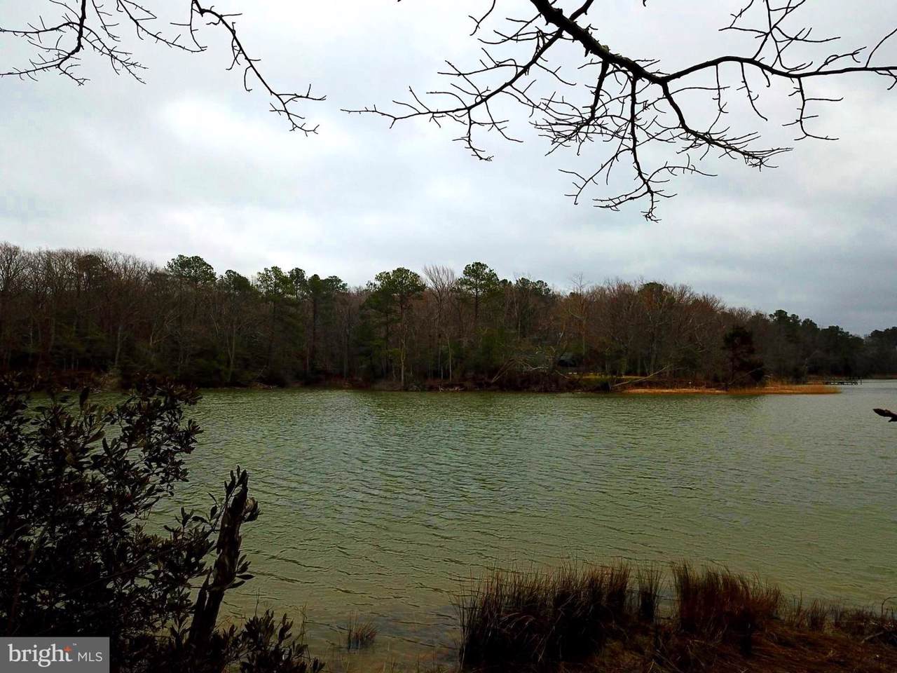 Potomac Drive - Photo 1