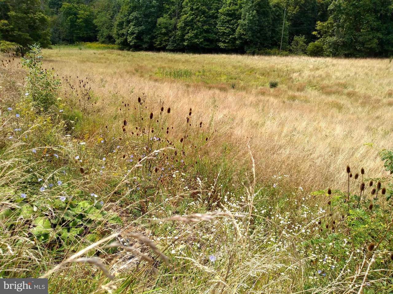 Lot 3 Schell Acres - Scherr - Lunice Creek Highway - Photo 1