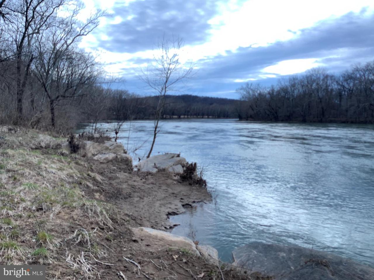 Lot 1 River Forest Lane - Photo 1
