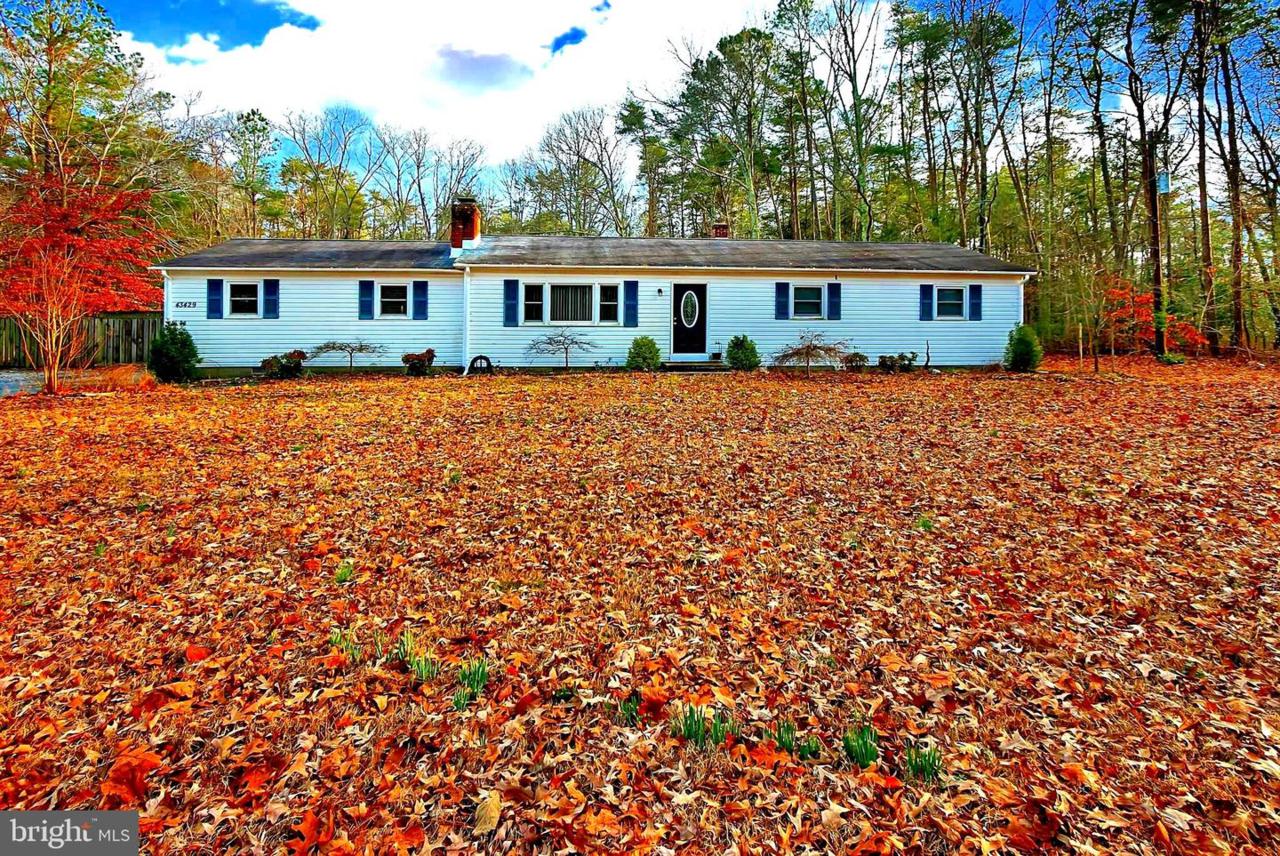 43429 Saint Andrews Church Road - Photo 1