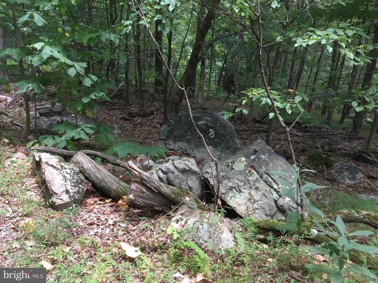 Trough Overlook Road - Photo 1