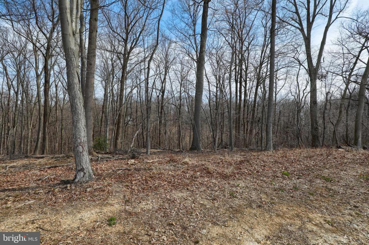 21 Buck Run Road - Photo 1
