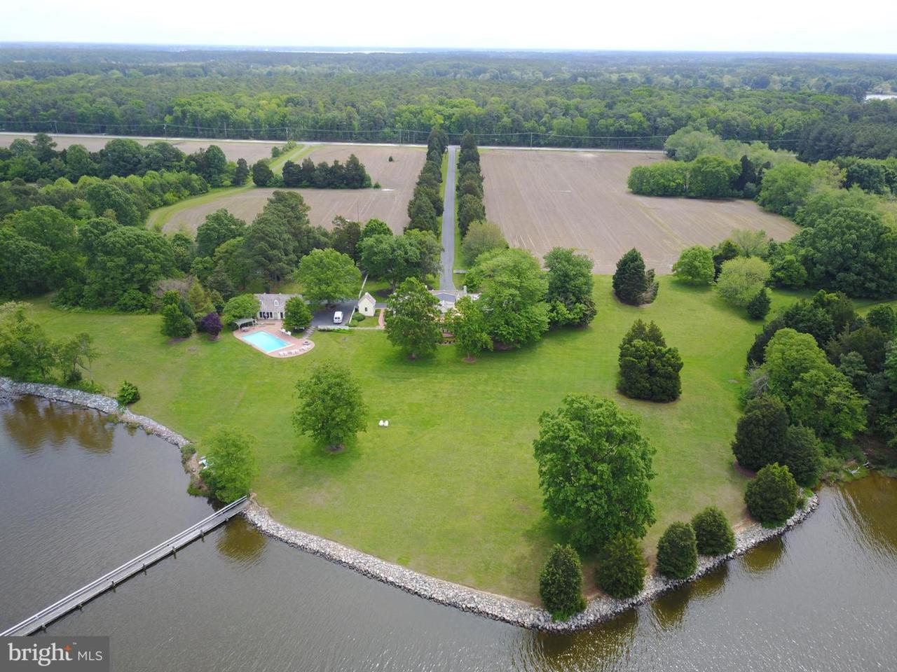 8824 Bozman Neavitt Road - Photo 1