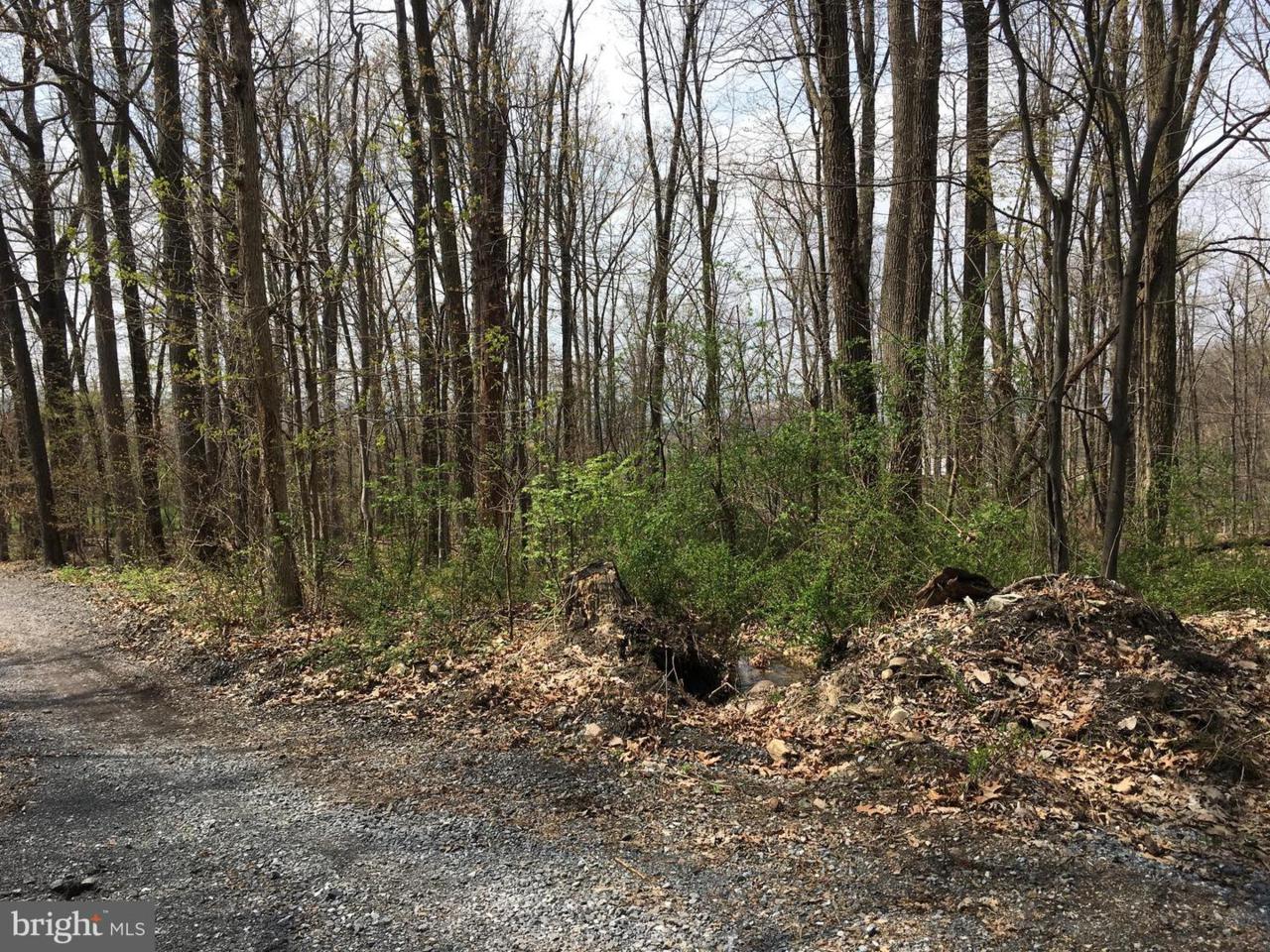 0 Rod And Gun Road - Photo 1