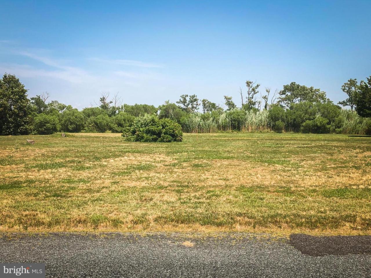 25669 Frenchtown Road - Photo 1