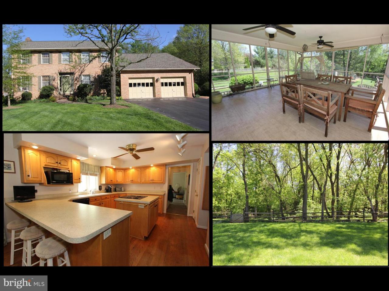 8391 Buckeye Court - Photo 1