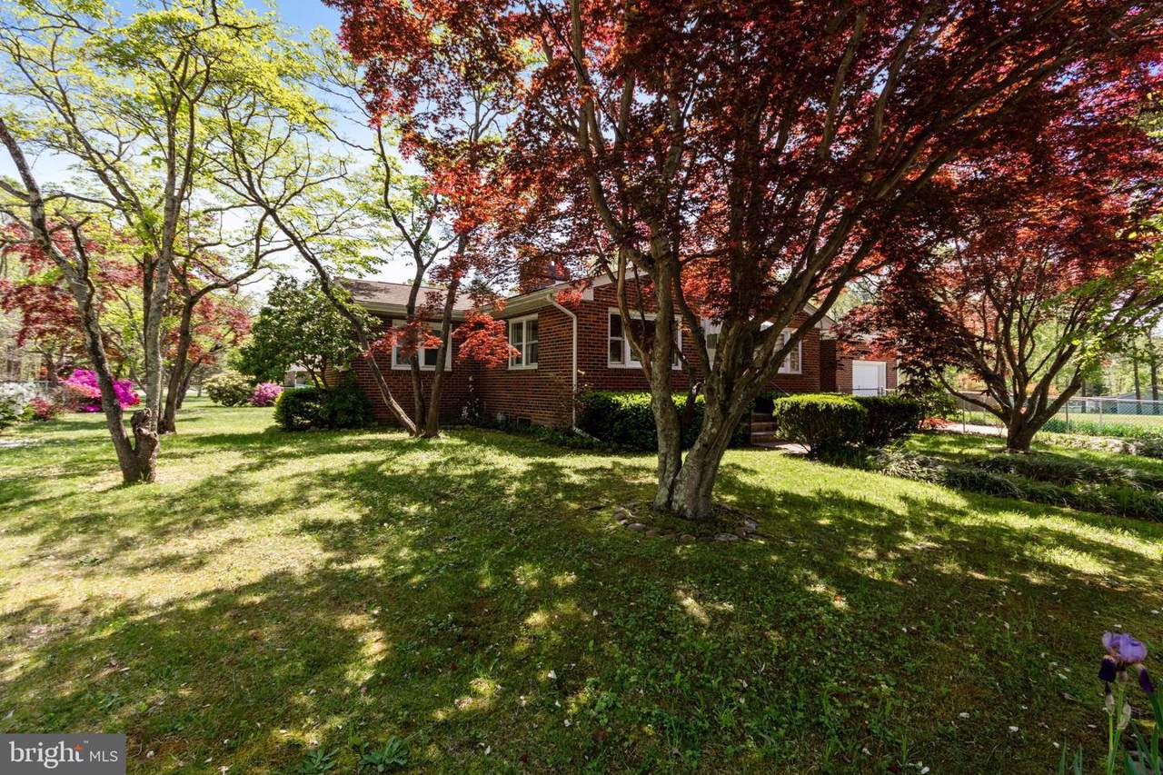 1106 Lily Avenue - Photo 1