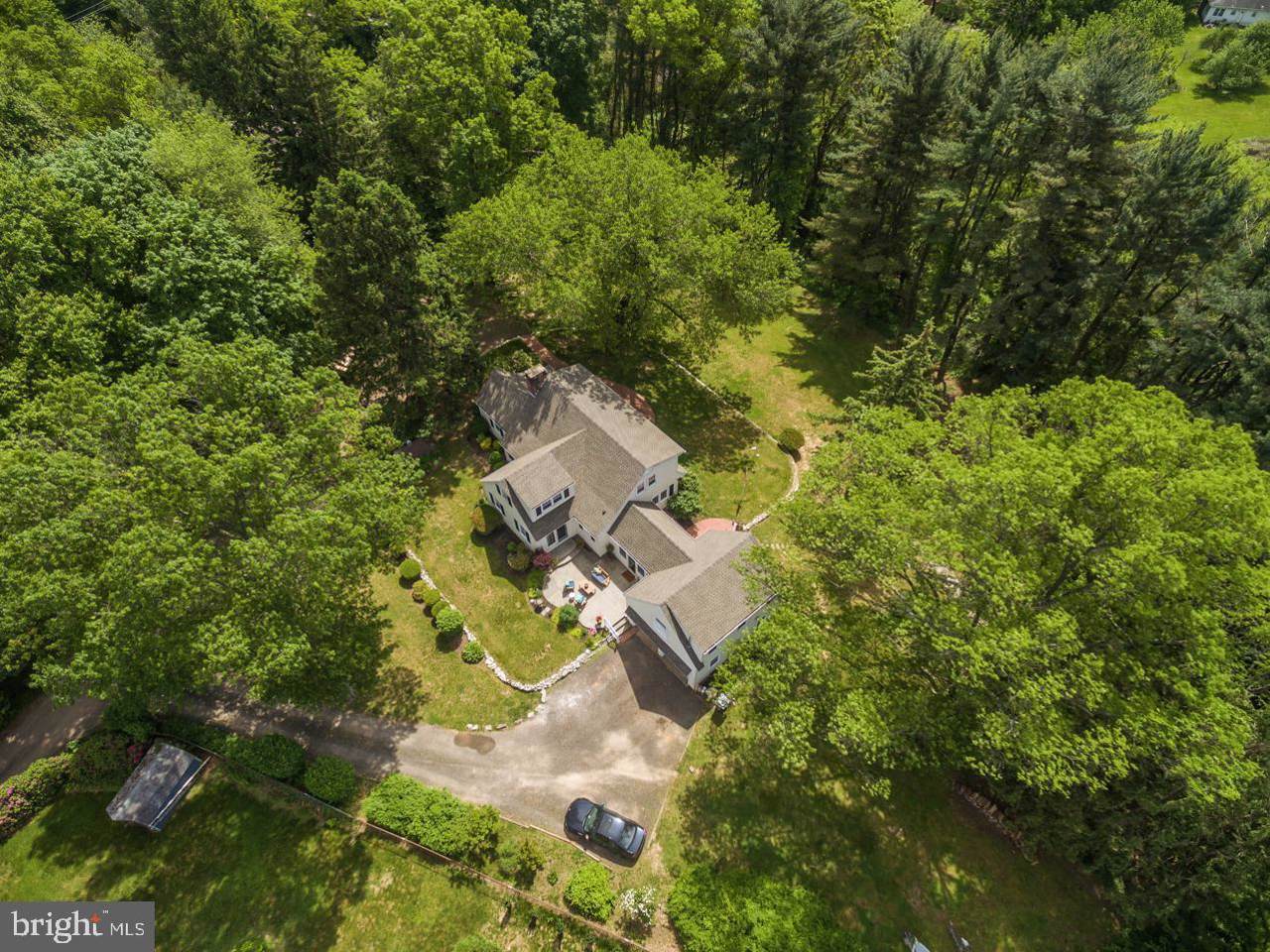 685 Amalie Lane - Photo 1