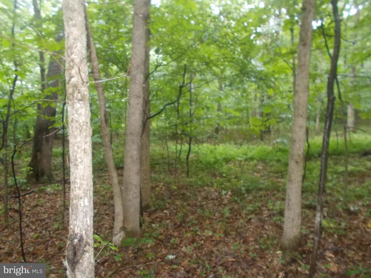 South Lakewood Drive - Photo 1