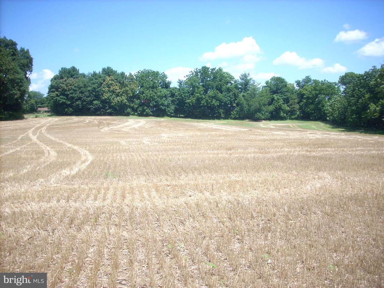 8614 Chestnut Grove Road - Photo 1