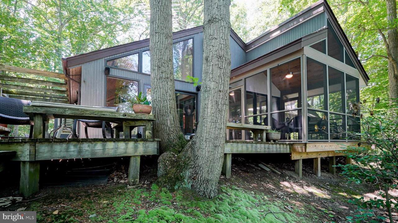 24284 Macs Lane - Photo 1