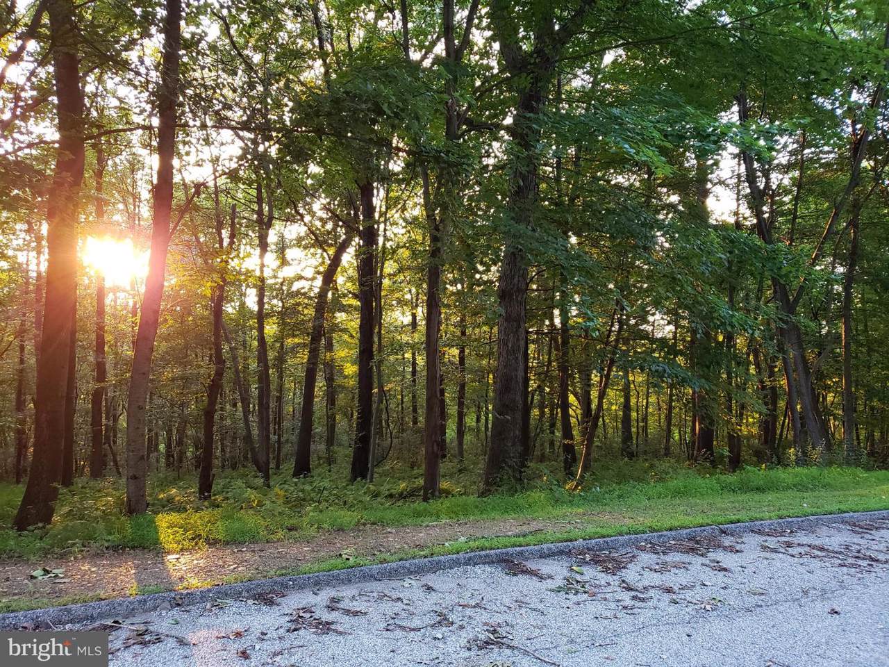 Lot #46 Dale Drive - Photo 1