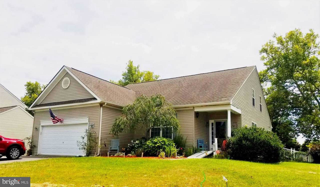 21 Bullrush Drive - Photo 1