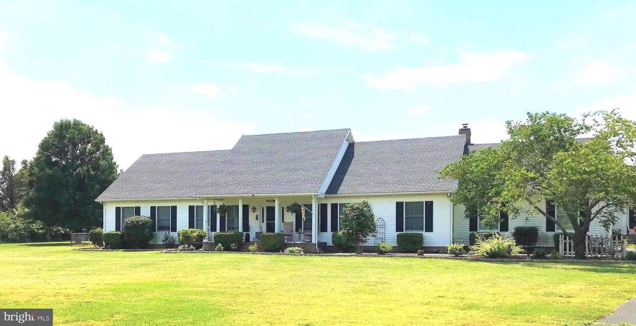 24174 Shufelt Road - Photo 1
