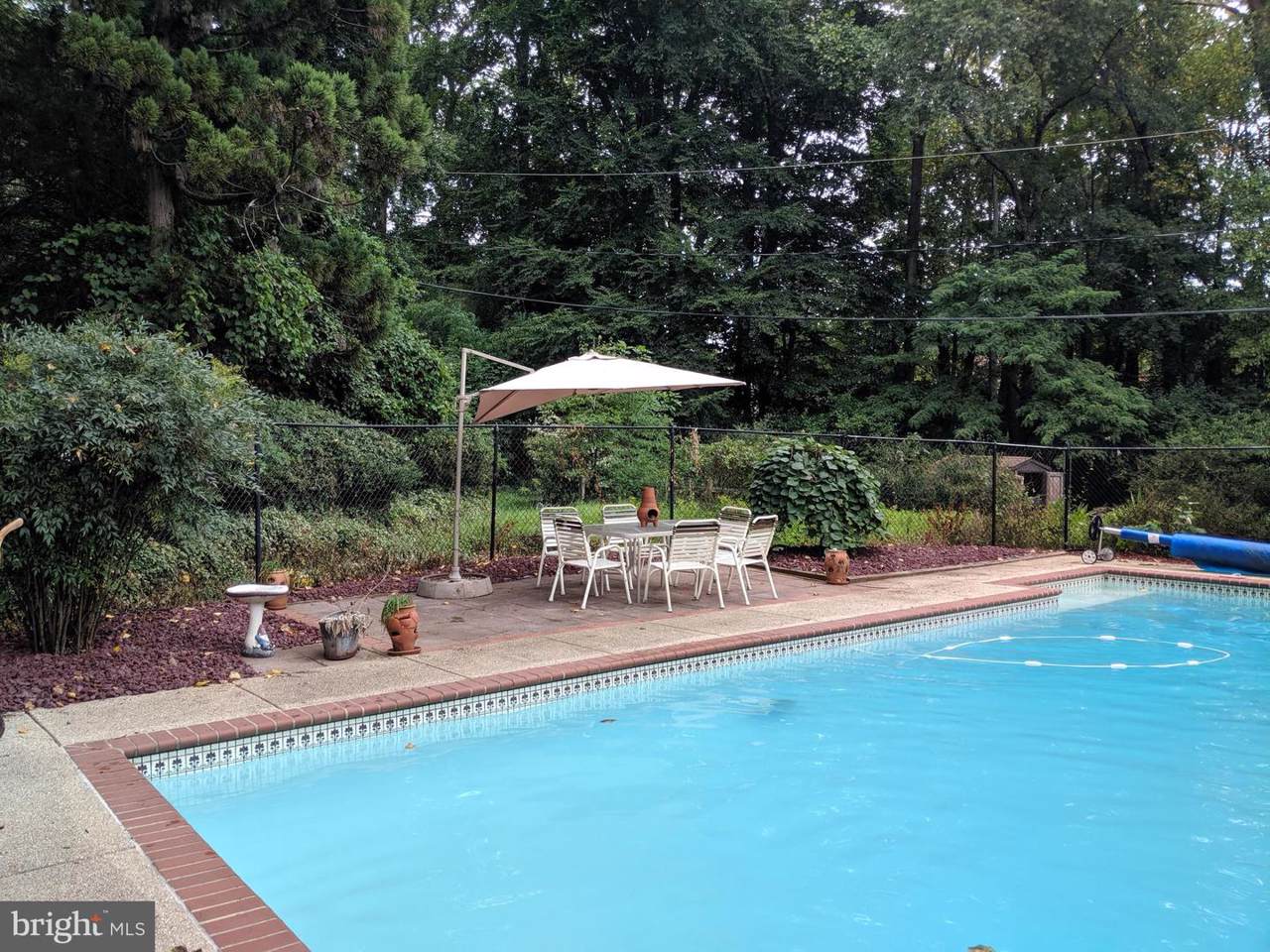 12818 Beechtree Lane - Photo 1