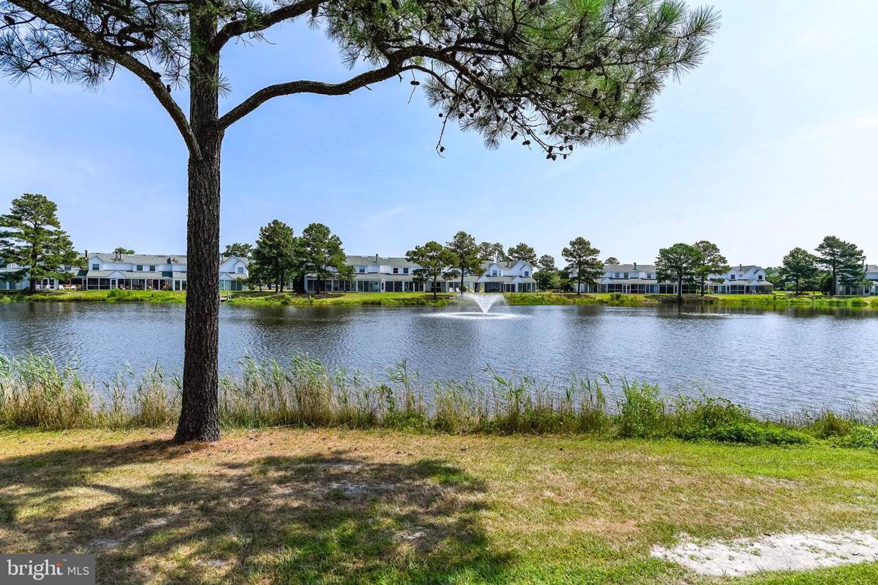 38082 Mockingbird Lane - Photo 1