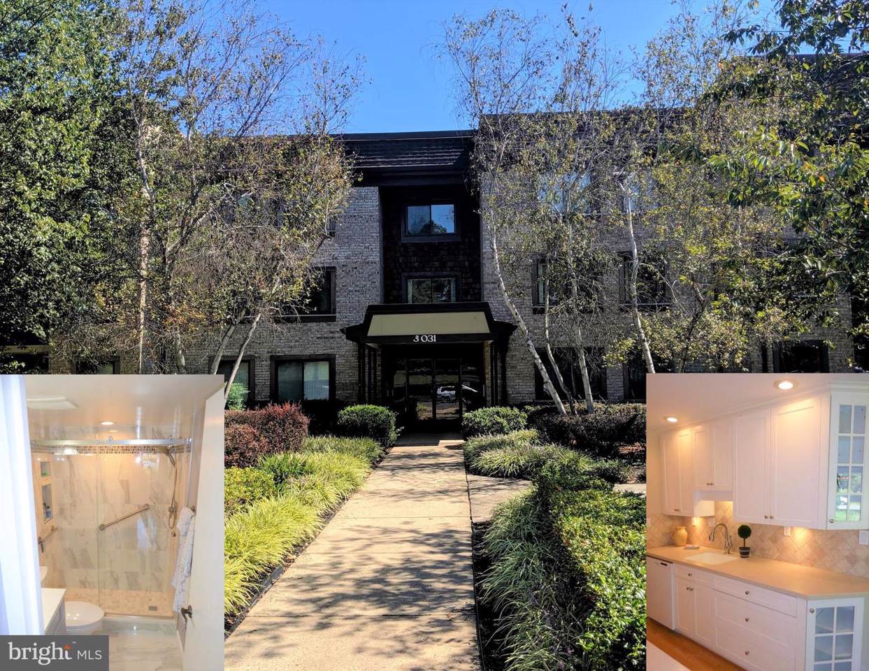 3031 Borge Street - Photo 1