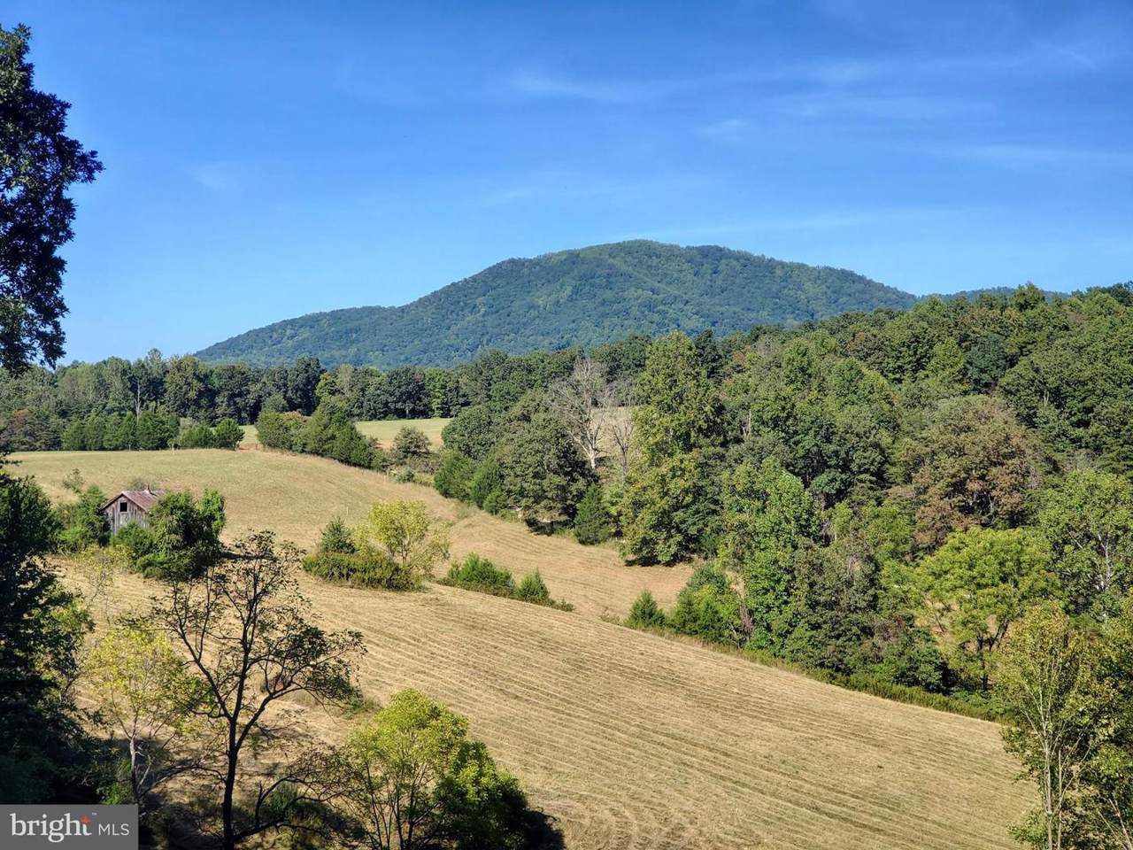 332 Berry Hill Road - Photo 1