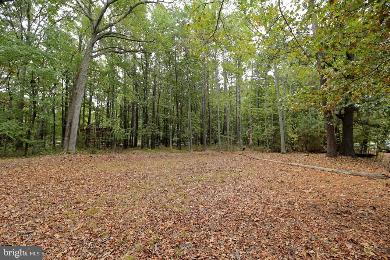 14820 King Charles Drive - Photo 1
