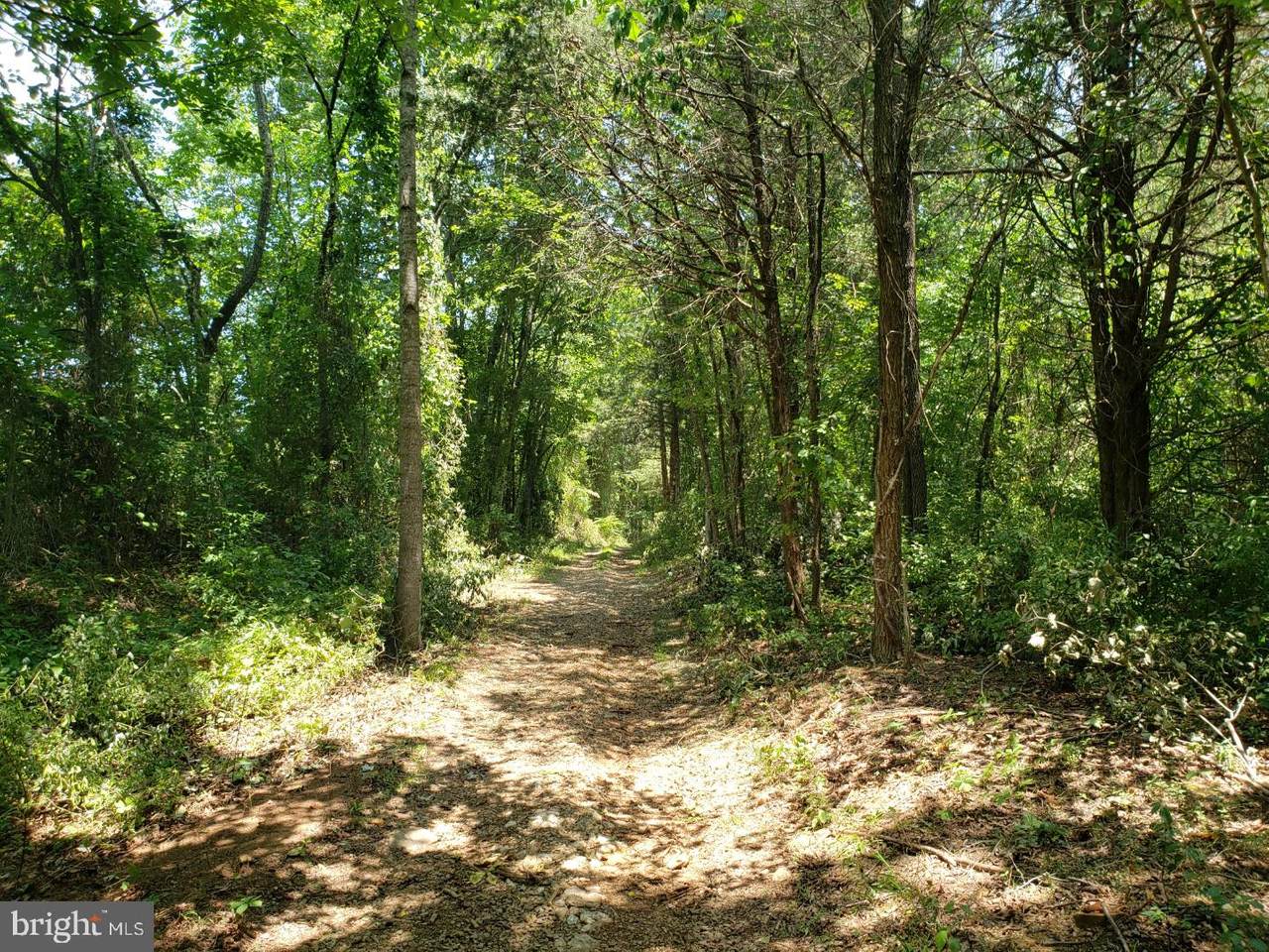 Herman Judy Lane - Photo 1