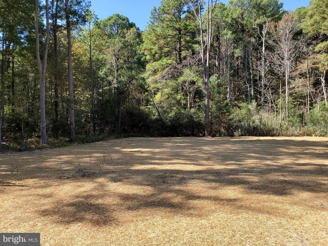 121 Cecil Road - Photo 1