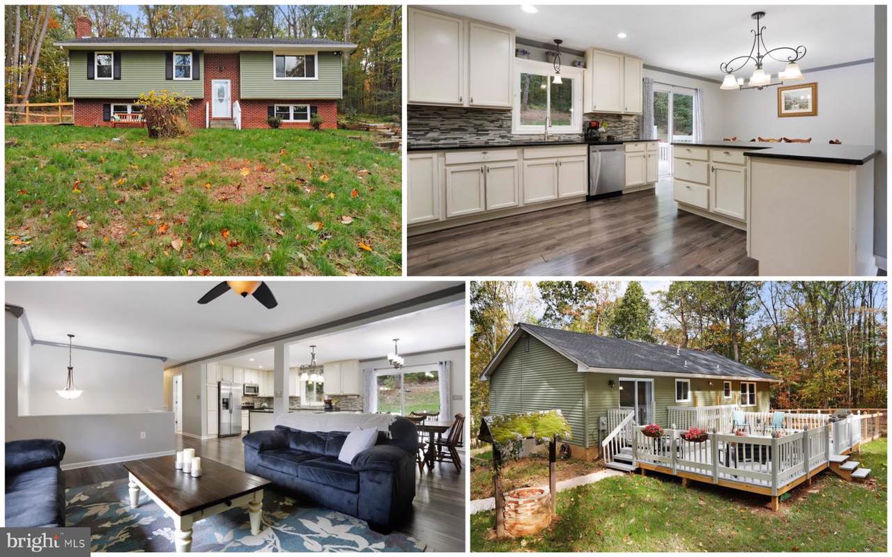 2705 Fridinger Mill Road - Photo 1