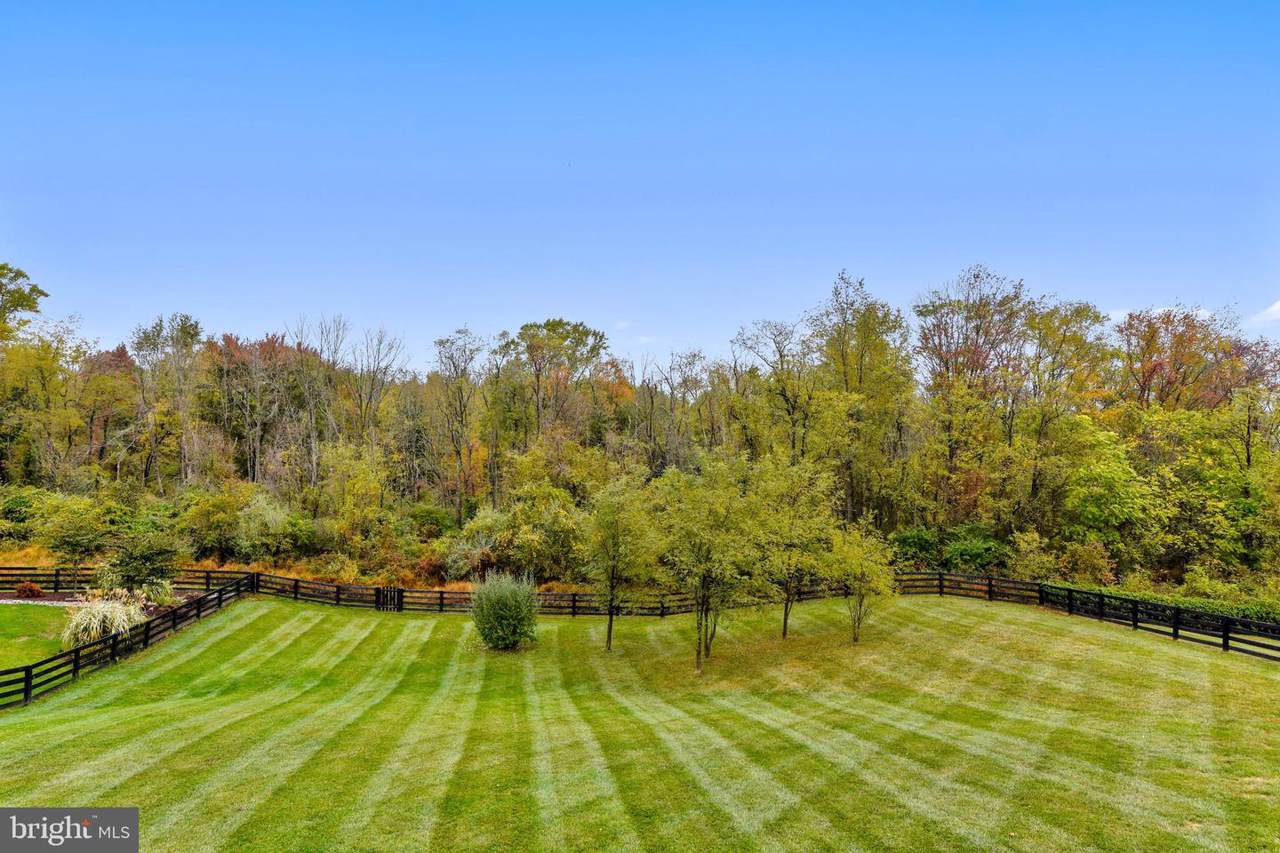 41728 Wakehurst Place - Photo 1