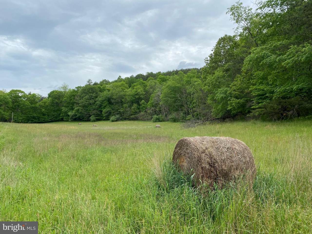 Virginia Line Road - Photo 1